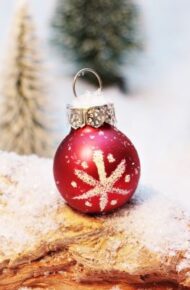 Buon Natale e buon anno